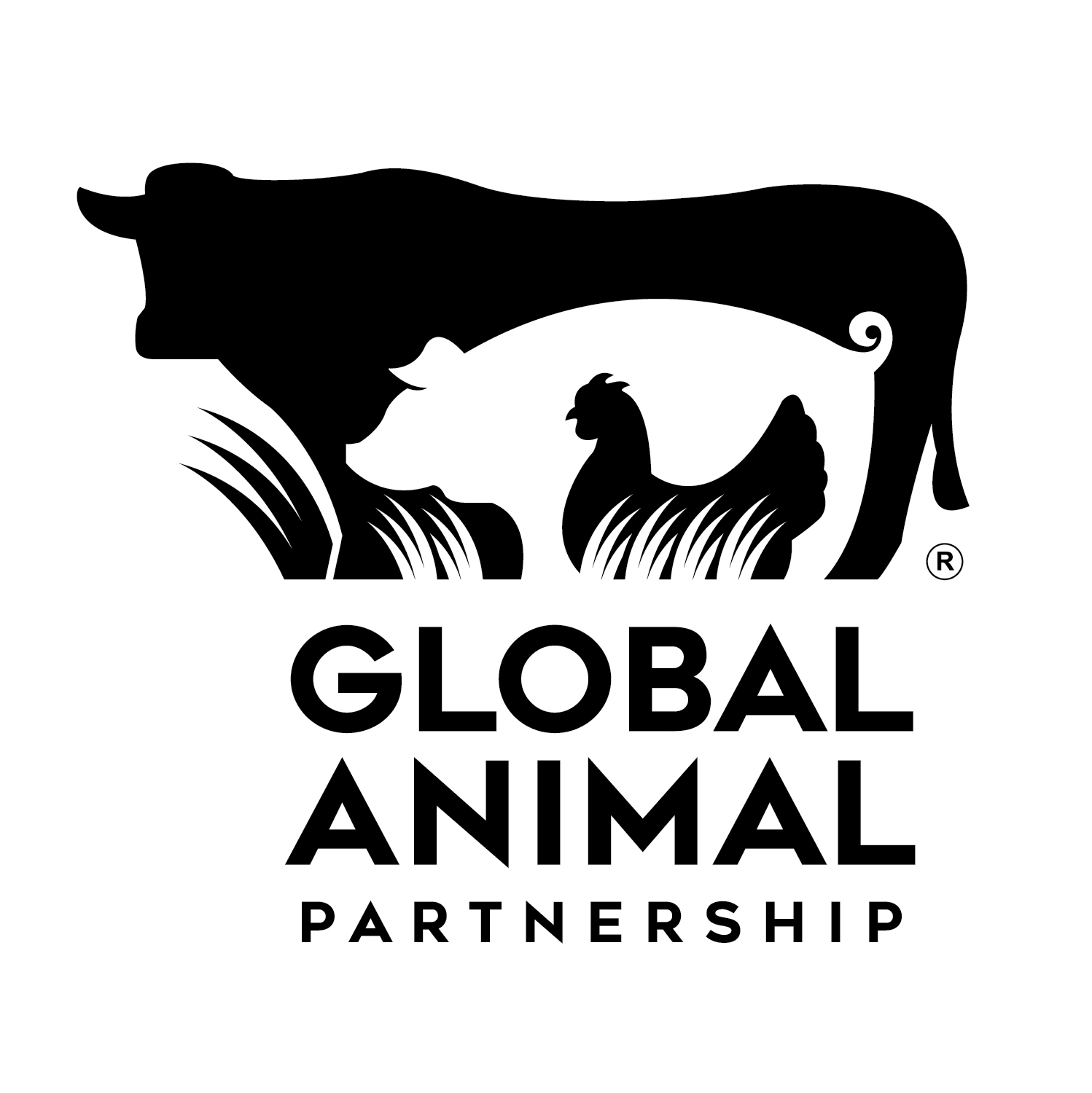 G.A.P.’s mission is to drive meaningful, continuous improvement of farm animal welfare through multi-level standards development, application, and verification across the supply chain.