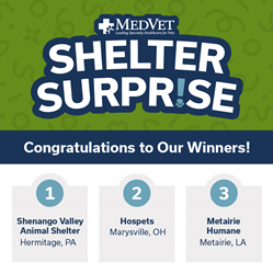 Winning shelters from MedVet Shelter Surprise