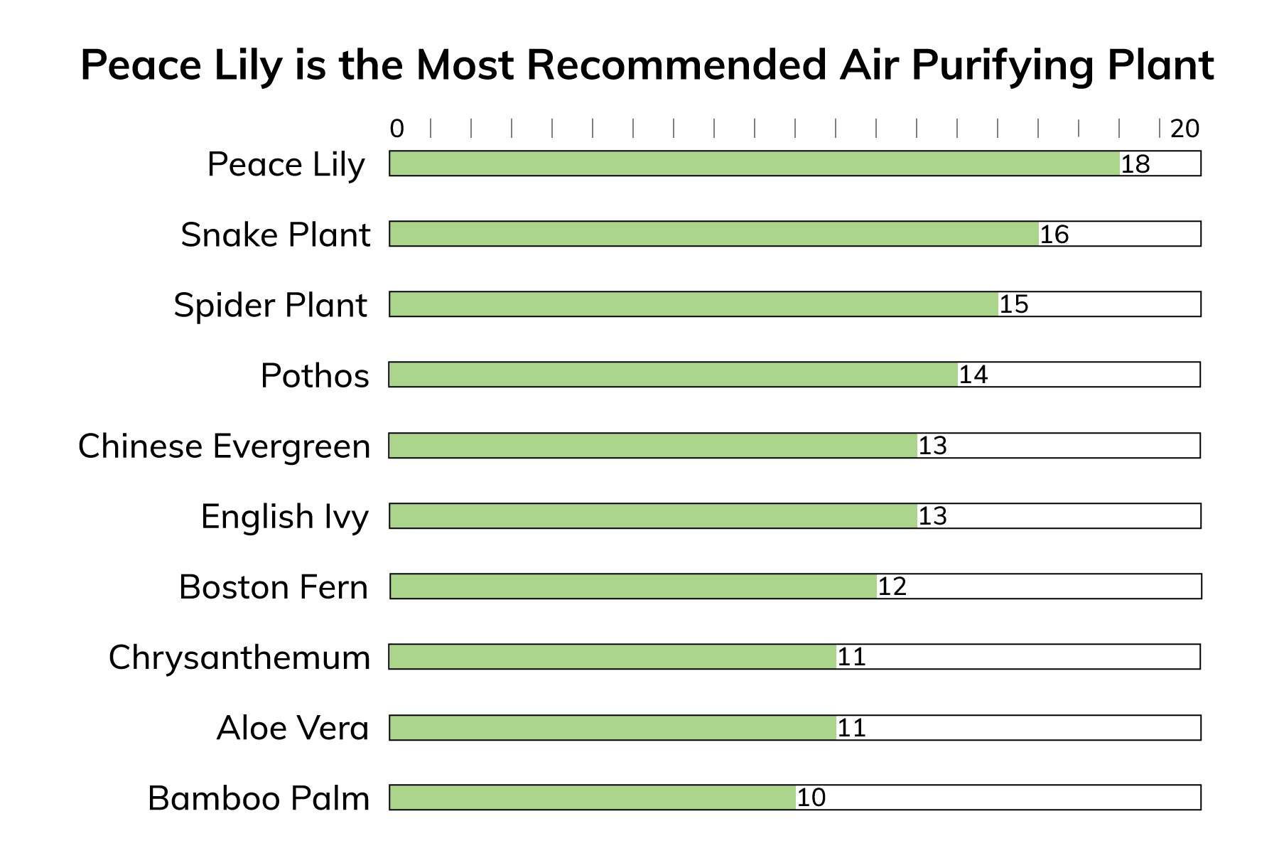 The Peace Lily is the most recommended plant for air purification