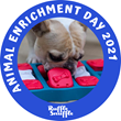 Dog Enrichment with frame