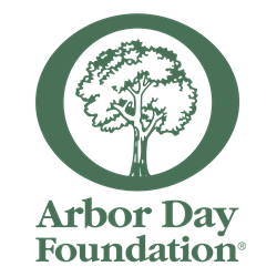 Thumb image for TD Bank Celebrates 10 Years of TD Tree Days Program in Partnership with Arbor Day Foundation