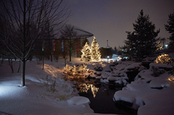 Outdoor pond reflects lights in pine trees