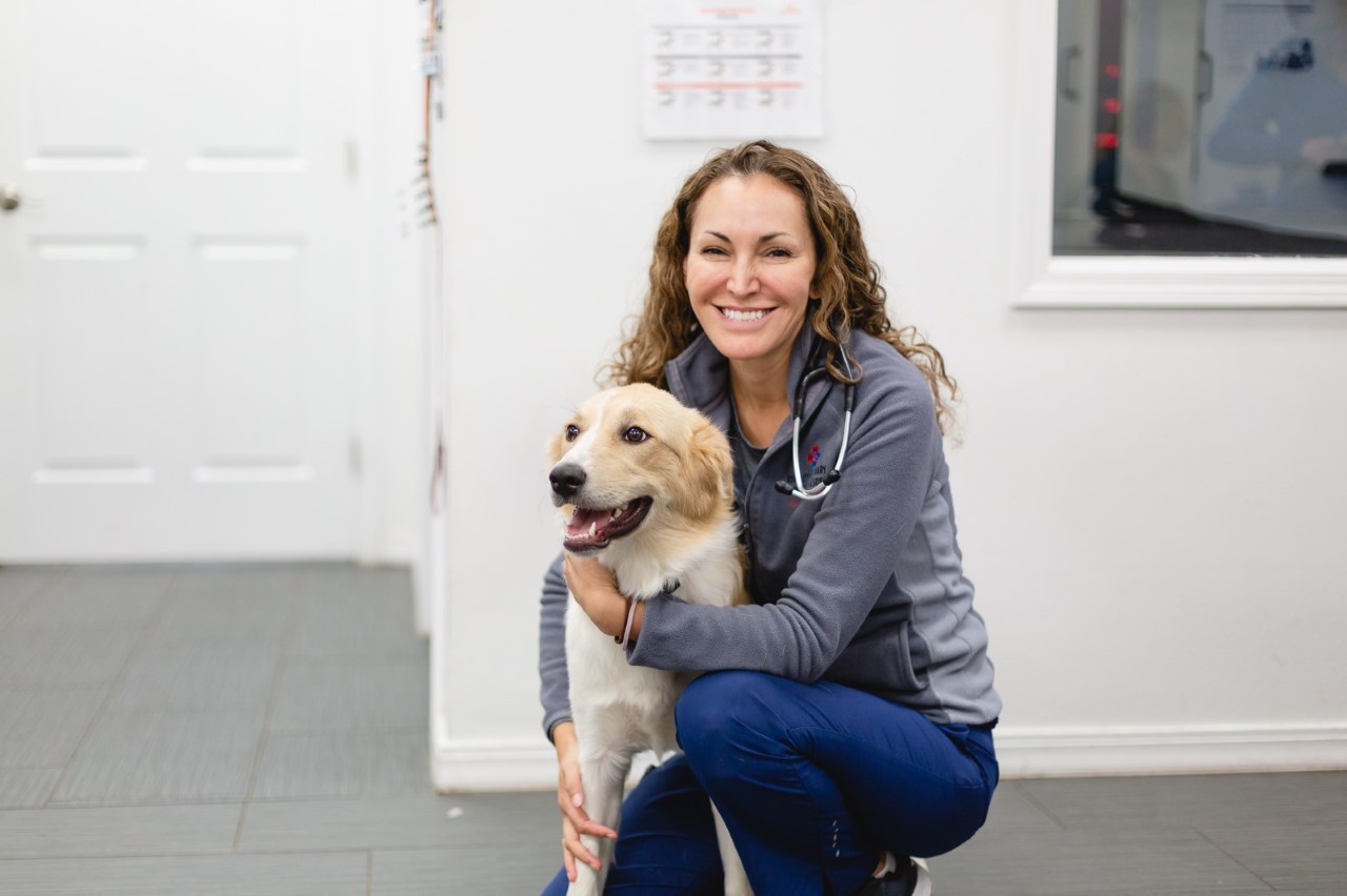 CareVet Launches Best-In-Class Veterinarian Benefits, including Paid Parental Leave, Adoption Assistance, Student Loan Support, Paid Luxury Vacations and More