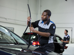 Service Professional Working On a Car