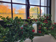 The annual “Good Grows Here: Gratitude and Gatherings” event offers something for everyone: holiday shoppers, floral enthusiasts, partygoers, and families. (Courtesy: The Montclair Foundation)