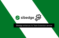 Team Extension service - sibedge.com