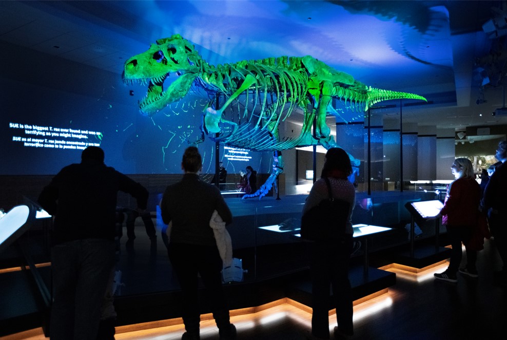 Experience a unique multimedia show transporting you to the Cretaceous Forest alongside SUE the T. rex. © Field Museum, photo by Martin Baumgaertner