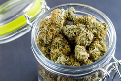 Jar containing Cannabis Flower