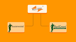 Chart showing the hierarchy of the Mavidon, Tradewater and MaviGreen brands.