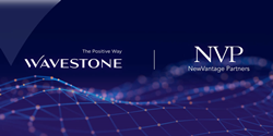 Thumb image for Top-Tier Data Strategy Firm NewVantage Partners Acquired by Wavestone