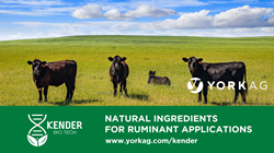 Kender Bio Tech Natural Ingredients for Ruminant Applications