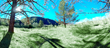 Environmental Digital Experience at LA Art Show 2022 Curated by Marisa Caichoilo