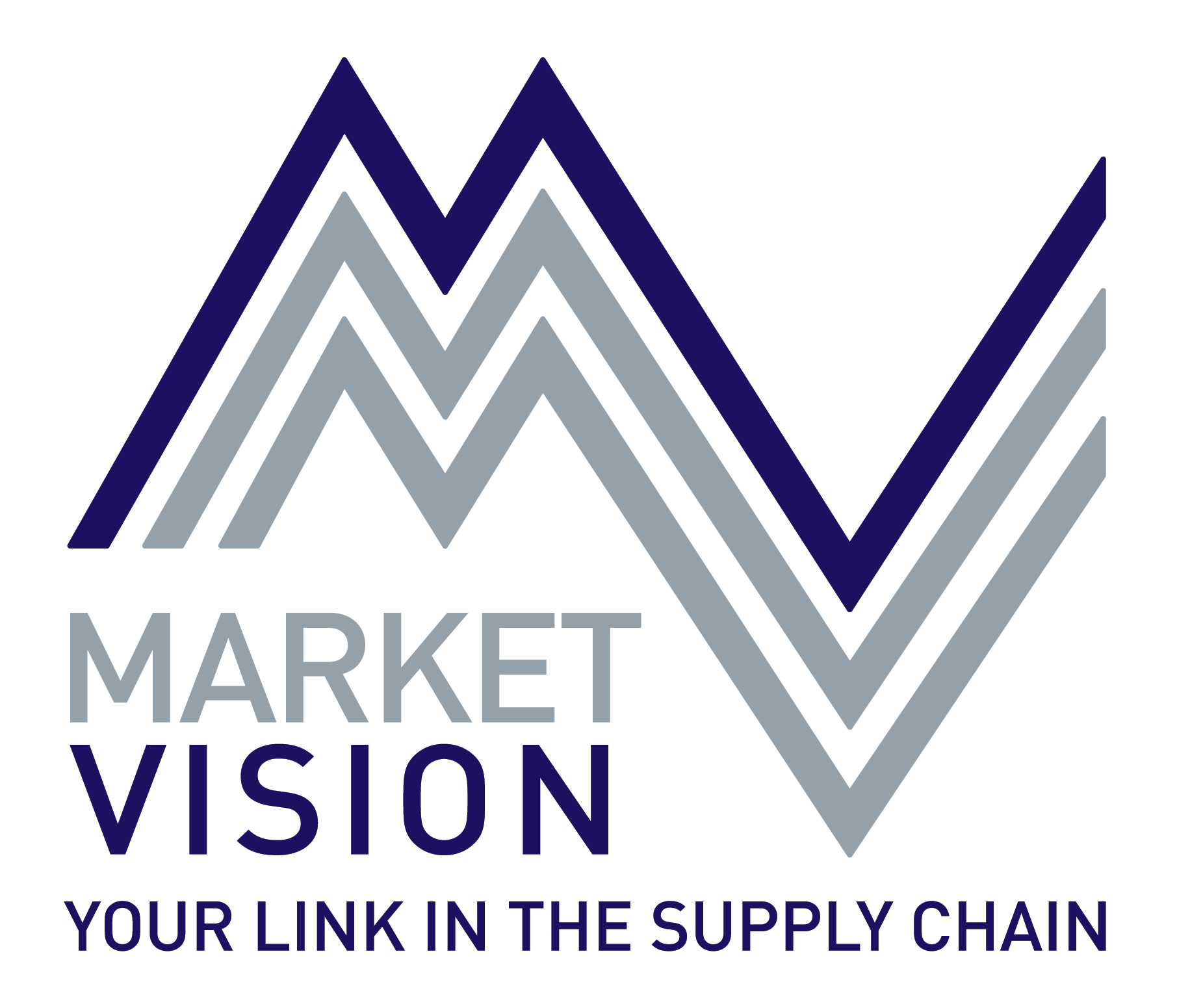 Market Vision, Inc.