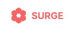 Thumb image for SURGE Teases Their NFT Collection, Which is Set to Become a Golden Ticket to Web3