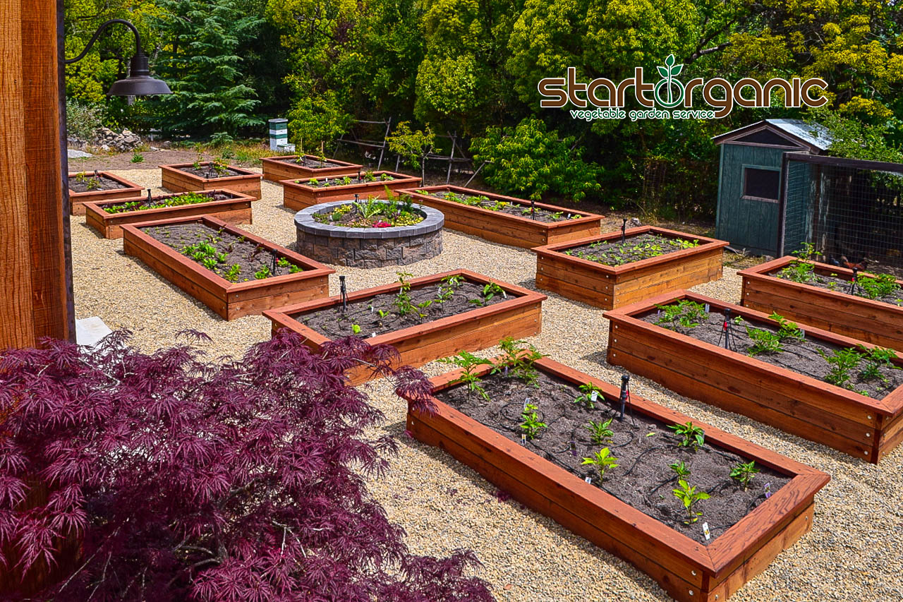 For companies returning to work in-person, the on-campus outdoor organic gardening program provides a safer employee experience.