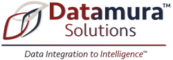 Datamura Solutions - Data Integration to Intelligence