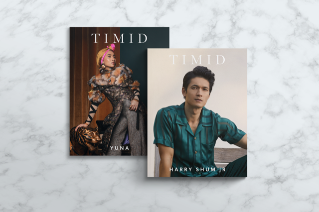 Timid Magazine