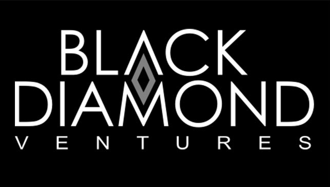 Black Diamond Ventures - Logo