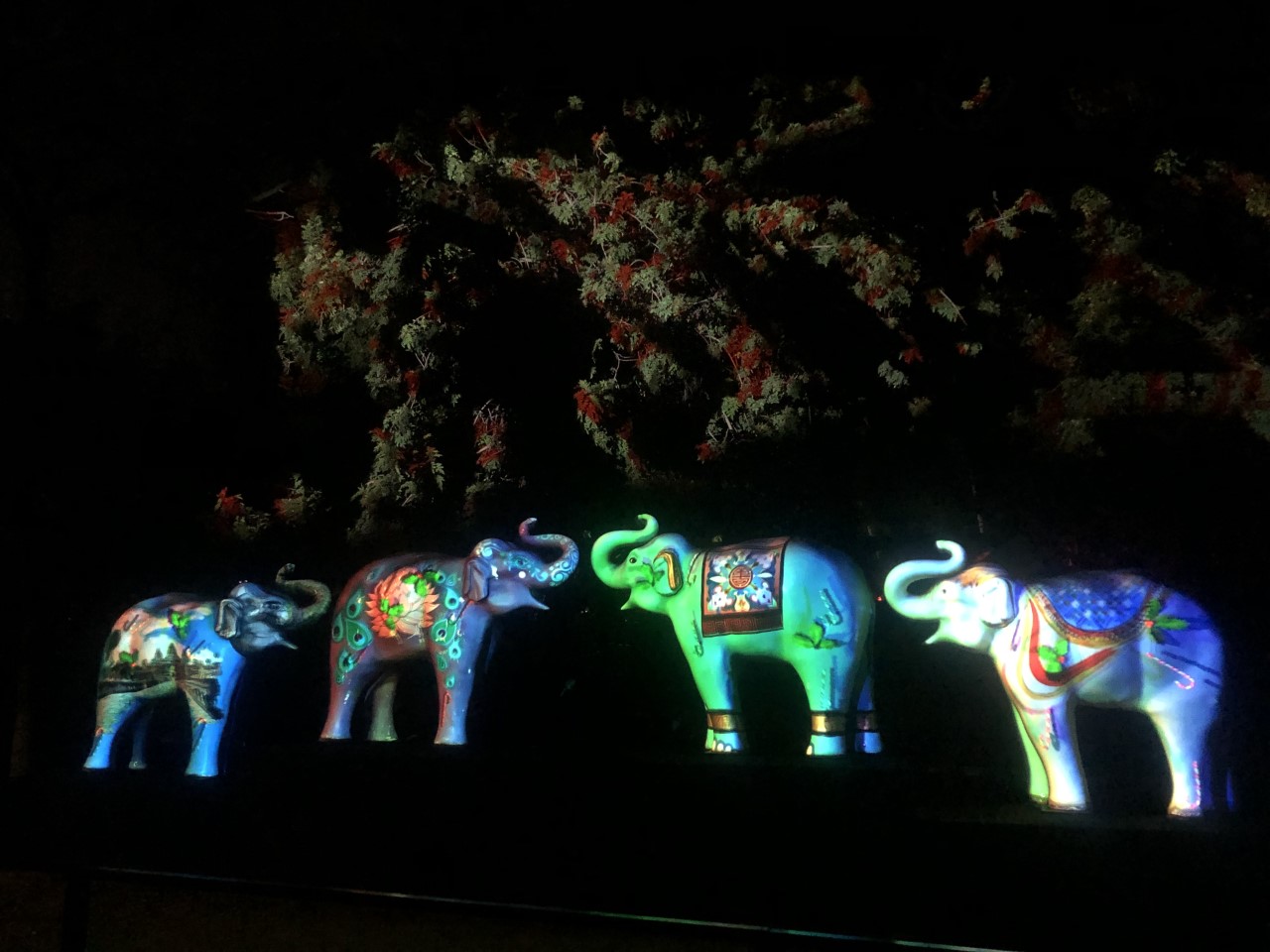 Los Angeles Zoo's elephants.