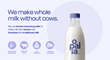 Unlike other milk alternatives, Opalia’s animal-free milk contains all of the functional components of traditional cow milk.