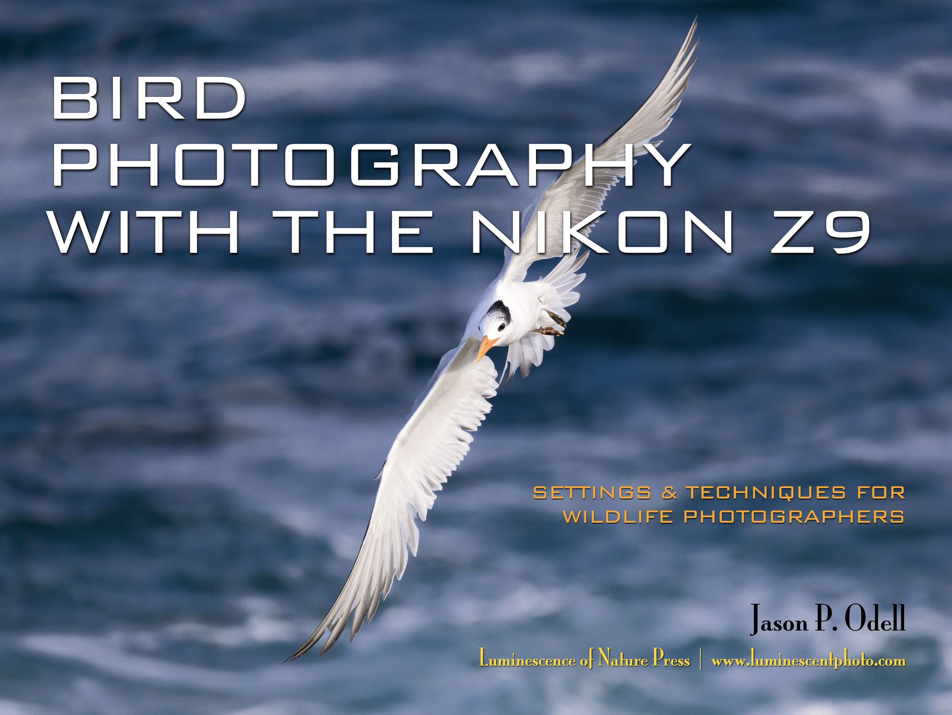 Bird Photography with the Nikon Z9 is a complete settings guide to the Nikon Z9 camera