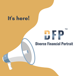 The Divorce Financial PortraitTM