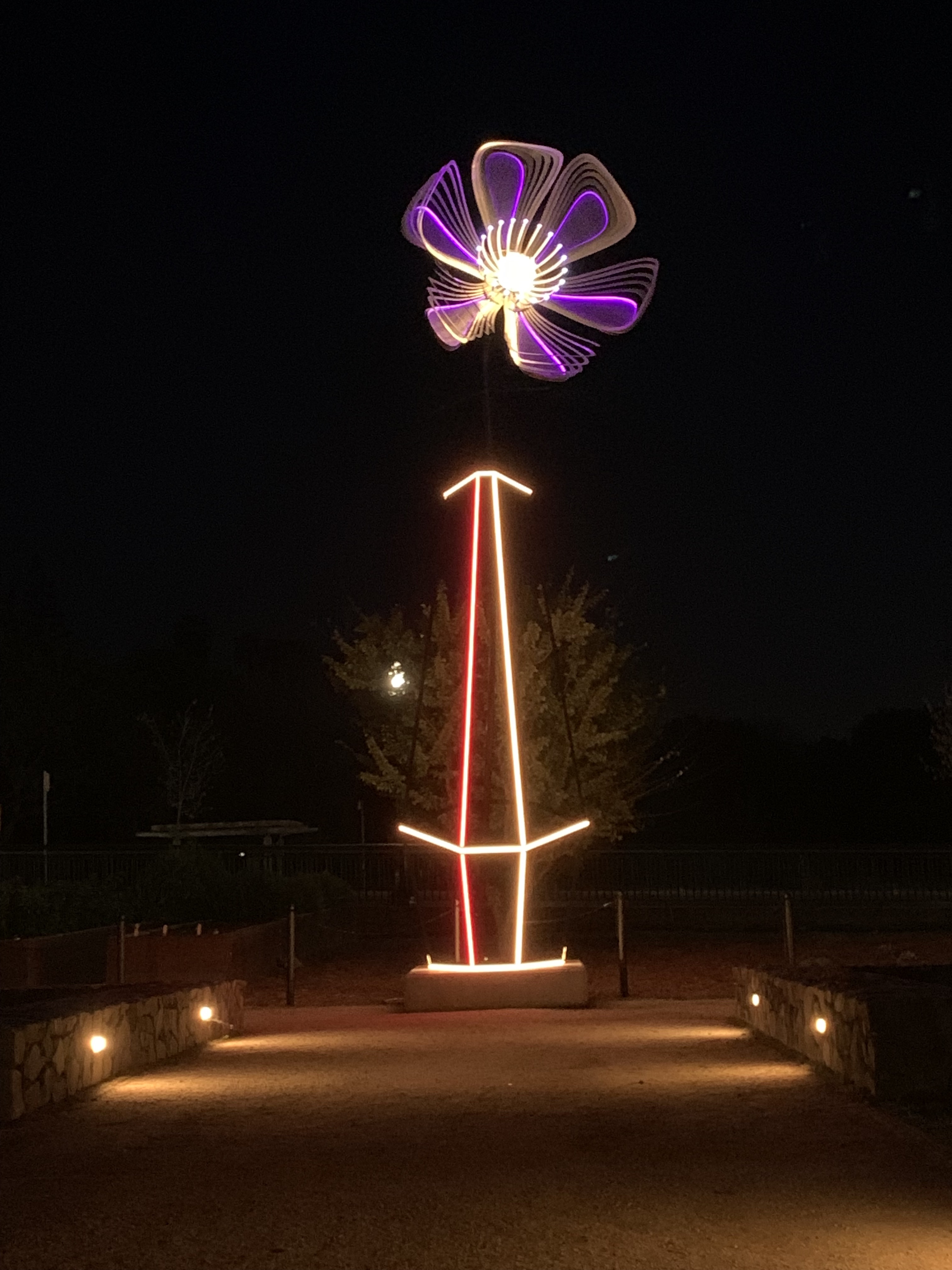 Napa artist Jacques Lesec’s, 18’ sculpture titled, Full Metal Poppy will be on exhibit in The CIA at Copia’s culinary garden and represents the first time RAD has exhibited a work that includes light.