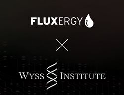 fluxergy wyss