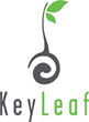 KeyLeaf Life Sciences Resumes Plant-Based  Protein Processing to Service Red Hot Market