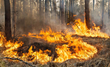 Developments in Wildfire Protection Technology to be Highlighted on Advancements Television Series