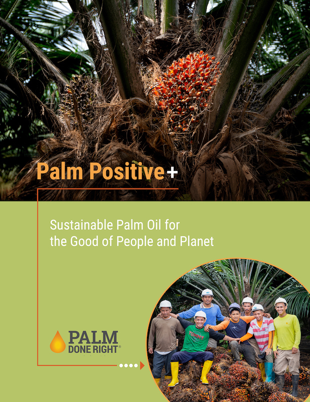 Palm Positive+, A Reference Guide