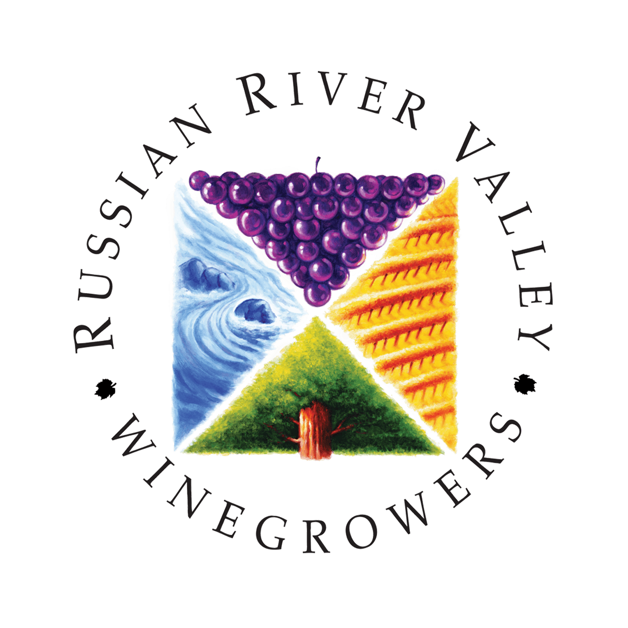 Russian River Valley Winegrowers (RRVW) is a community of winemakers and farmers dedicated to producing exceptional wines that showcase the nuance and diversity of the region.