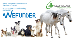 CureLab Veterinary Launches Equity Crowdfunding Campaign on Wefunder to Revolutionize Medicine for Dogs, Cats, and Horses