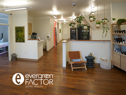 Evergreen Factor Interior