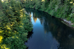 Thumb image for The 250 acre riverfront Siletz River Ranch is now available for sale.