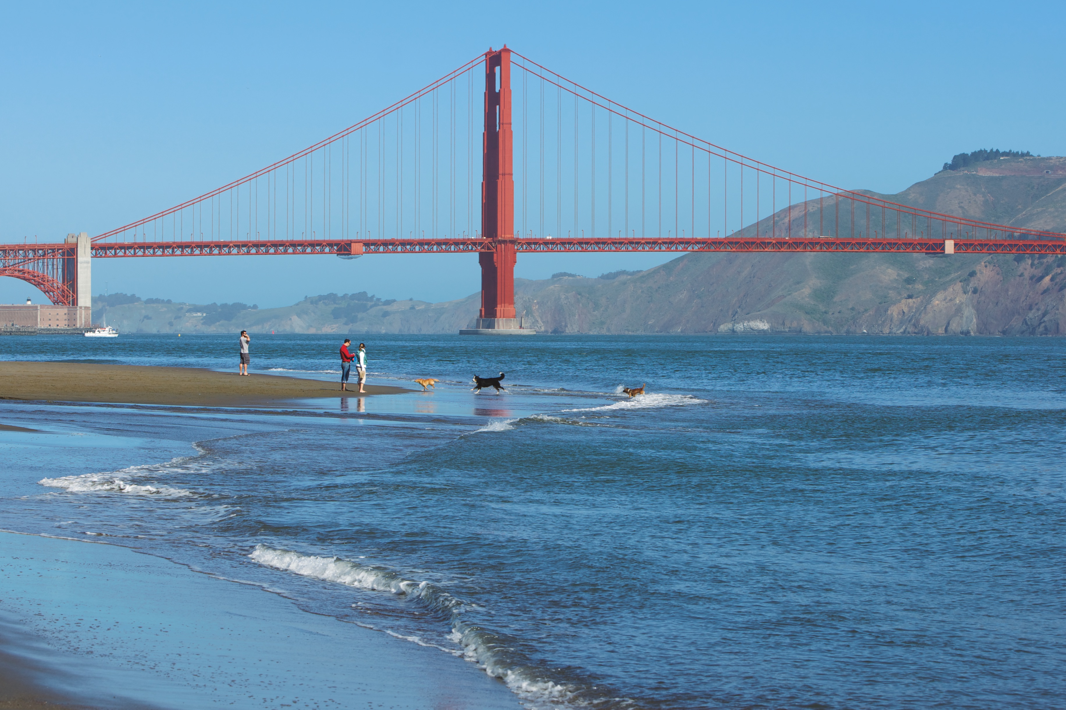 The Presidio of San Francisco, part of the Golden Gate National Recreation Area, offers 24 miles of trails and dog-friendly beaches, including Crissy Field.