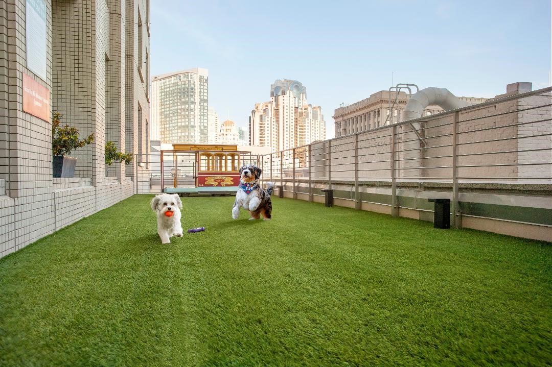 Hotel Nikko San Francisco's Pet Terrace features an off-leash dog run with a custom-made cable car doghouse and play dates with the hotel’s canine residents.