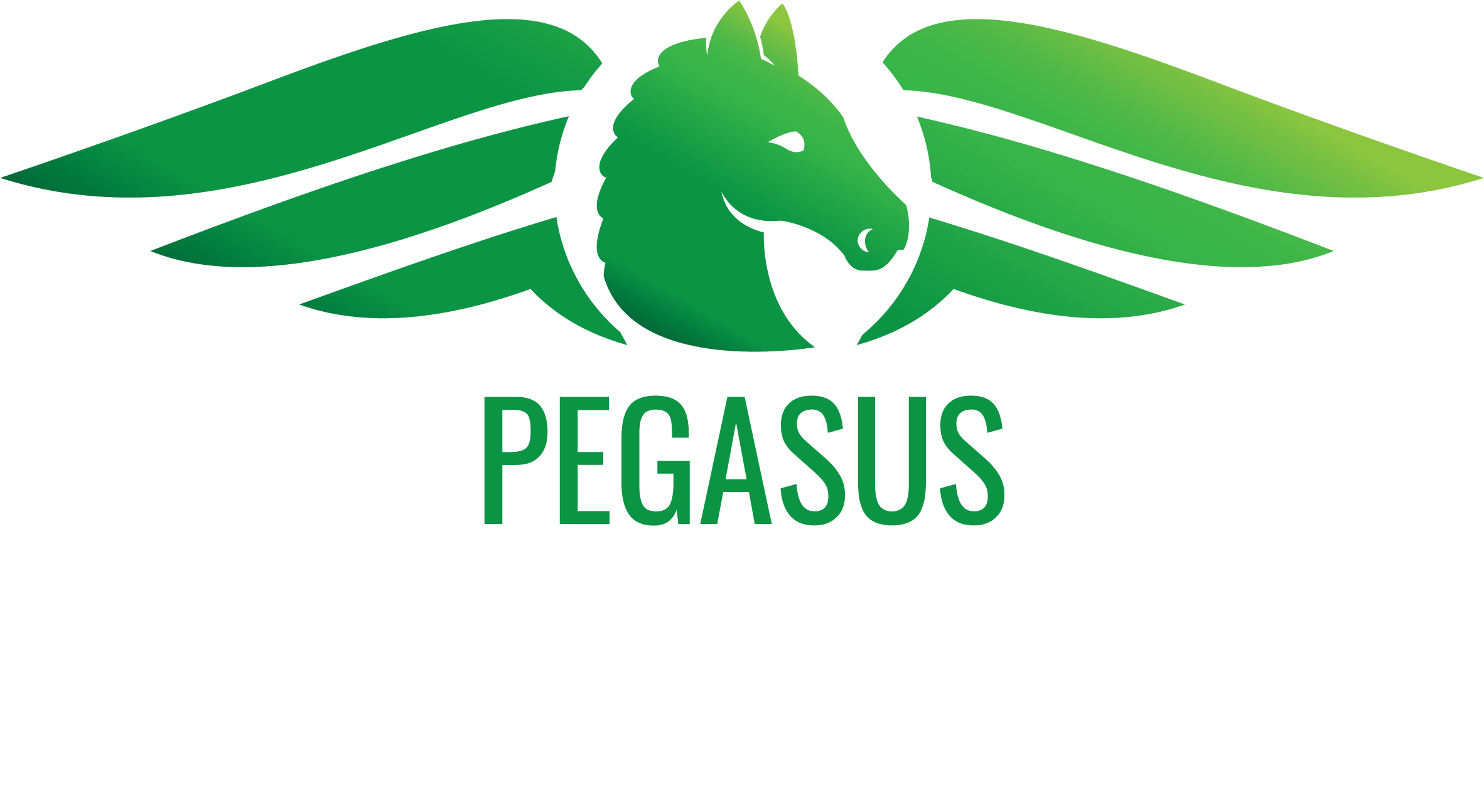 Pegasus Bus Company is a Dunkirk, Ohio-based company spearheaded by veterans in the school and transit bus industries.