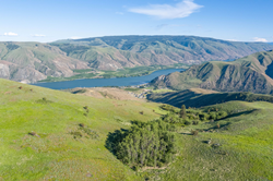 Thumb image for Agri-Investment Services Chosen to Represent the Entiat Mesa Ranch