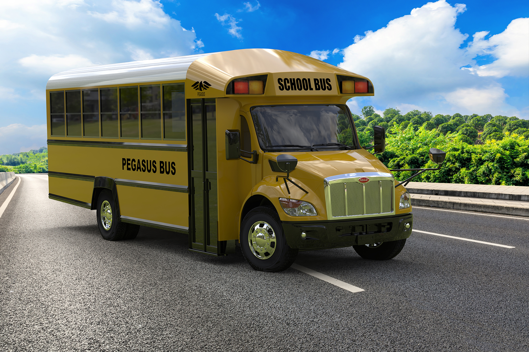 Pegasus does business in the U.S. and Canada and will introduce the first Pegasus Type C school bus, which is expected in November 2022.