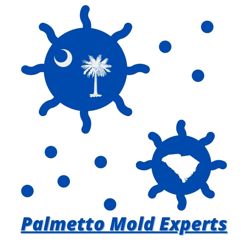 palmetto mold experts