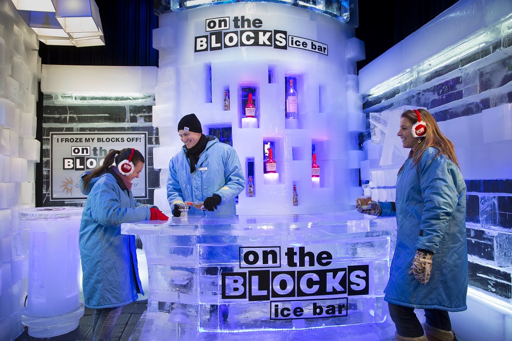 Adults can grab a frosty drink in the ICE! bar kept at 9 degrees!