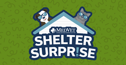 MedVet Shelter Surprise Logo