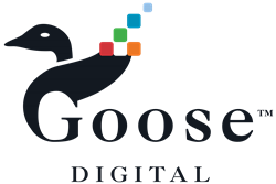 Goose Digital Reaches Gold Tier Status as a HubSpot Solutions Partner