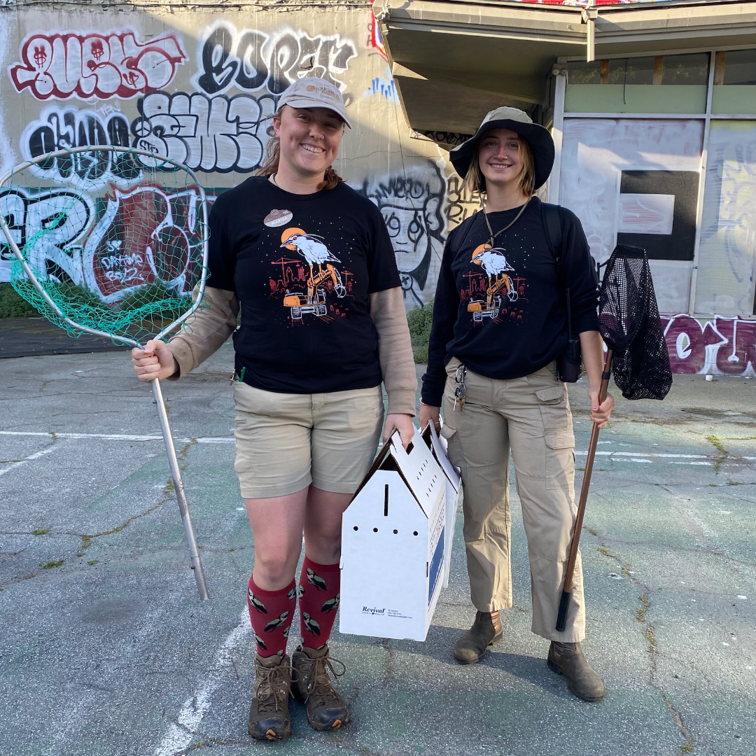 Heron Rescue Team (HRT) members, Marisa Riordan & Noelle Dohlin, out on a patrol in Downtown Oakland. HRT wore shirts in collaboration with Oaklandish for patrols