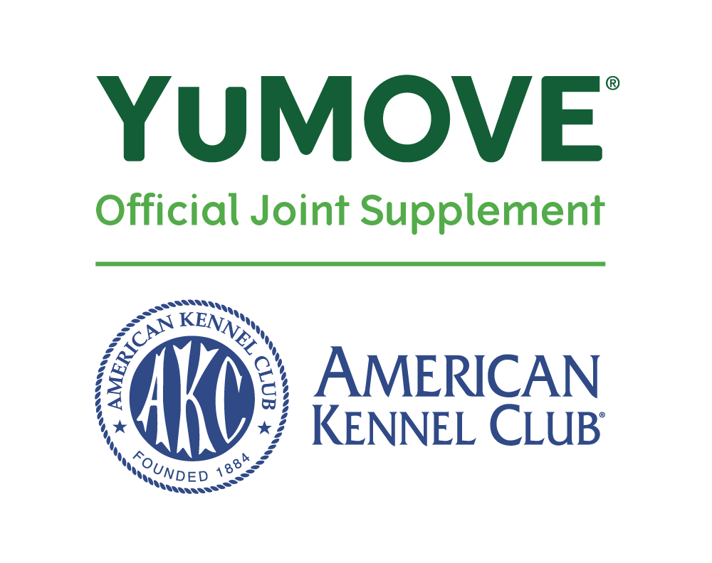 YuMOVE Logo