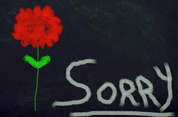 Hate saying sorry even when you’ve done something wrong? Part of it is pride, but another factor might be underdeveloped emotional and social intelligence.