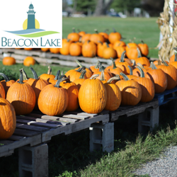 Beacon Lake Shares Fall Events and Festivals Happening Around the St. Augustine Community