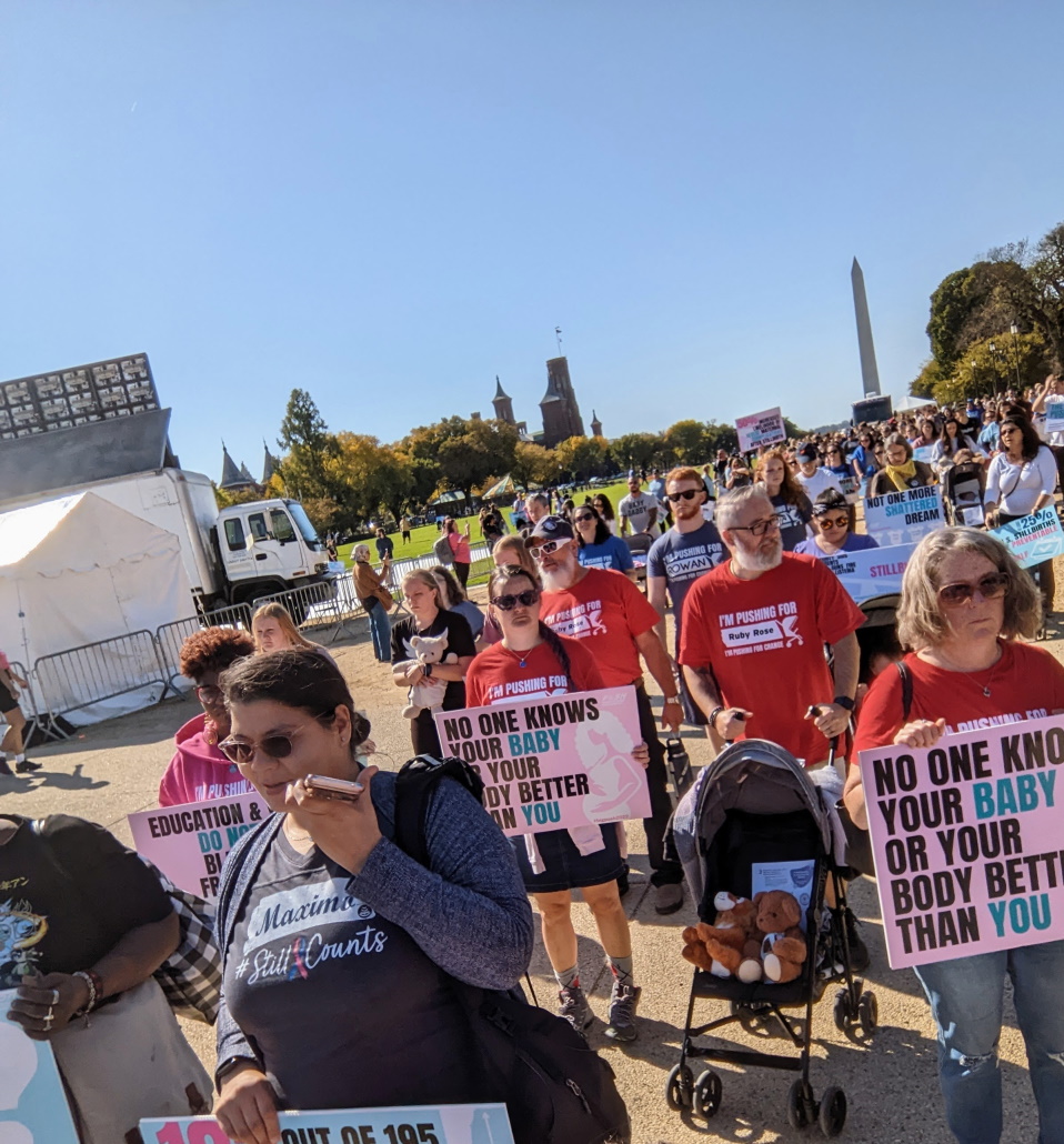 Families from across the country converge on the National Mall to demand better prenatal care