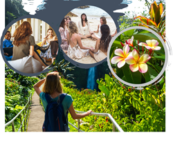 Thumb image for The Academy of Home Staging & Design Announces Design Business Retreat in Maui